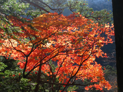 2012.10.24.27.jpg
