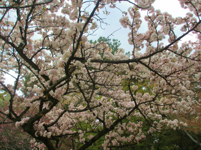 2013.4.10.54.jpg