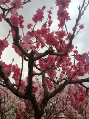 2013.4.3.3.jpg