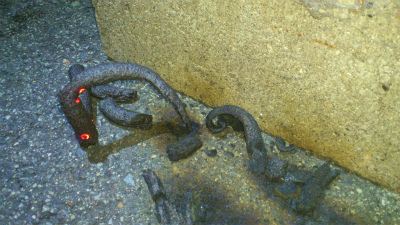 DSC_2776.jpg