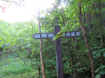 IMG_7819.jpg