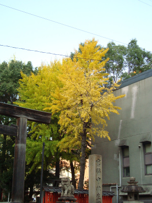 生田神社.jpg