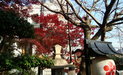 神社1.jpg