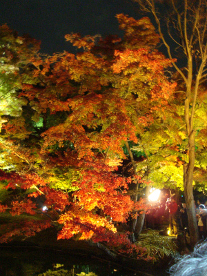 高台寺2.jpg